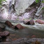 Flow - How to Create Flow in Writing