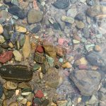 Clarity (in Speech and Writing)