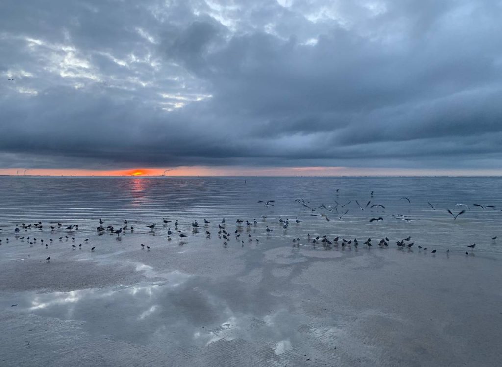 the first glimmer of the day to come, sunrise, St. Pete