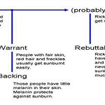 Toulmin Argument