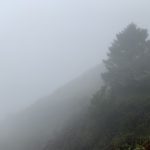 Vague Language